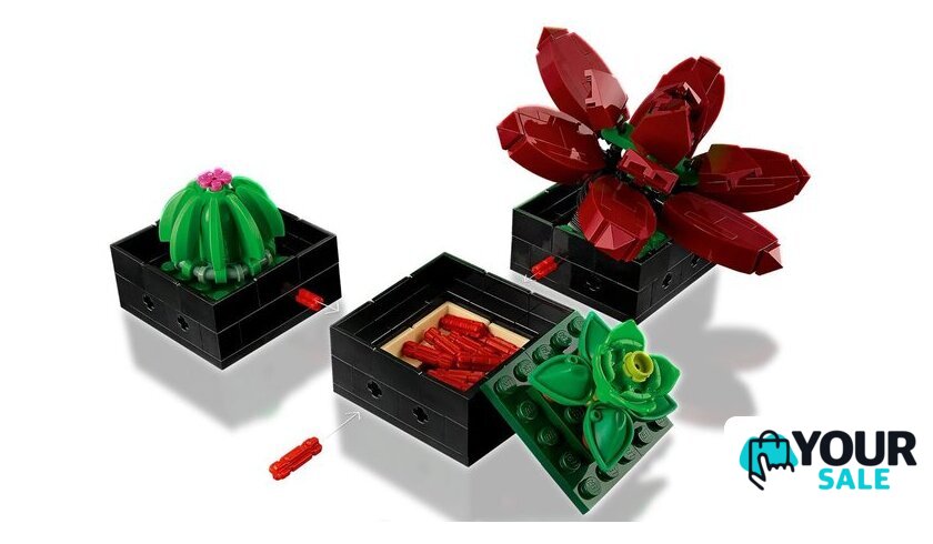 Конструктор LEGO Creator Expert 10309 Суккуленты - Изображение №7 — Интернет-магазин Your Sale