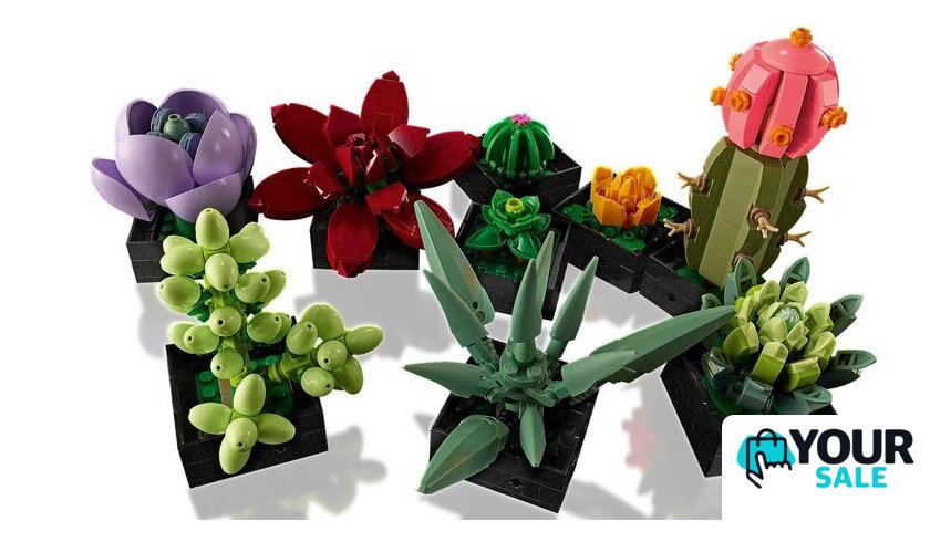 Конструктор LEGO Creator Expert 10309 Суккуленты - Изображение №6 — Интернет-магазин Your Sale