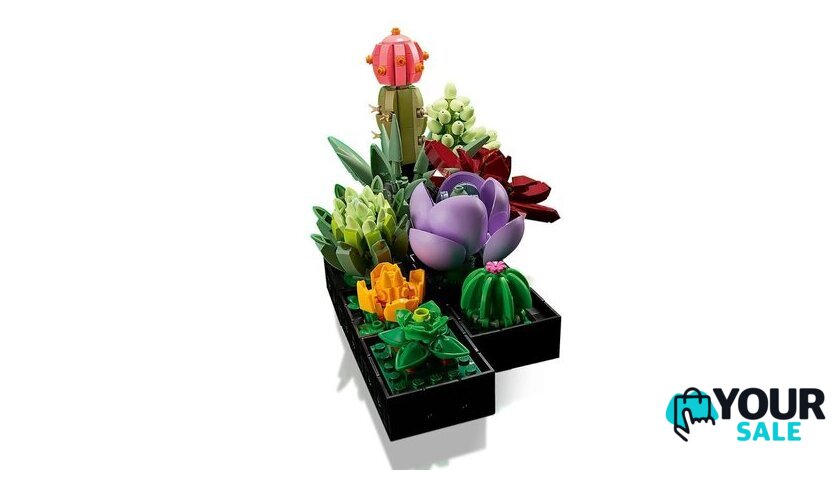 Конструктор LEGO Creator Expert 10309 Суккуленты - Изображение №9 — Интернет-магазин Your Sale
