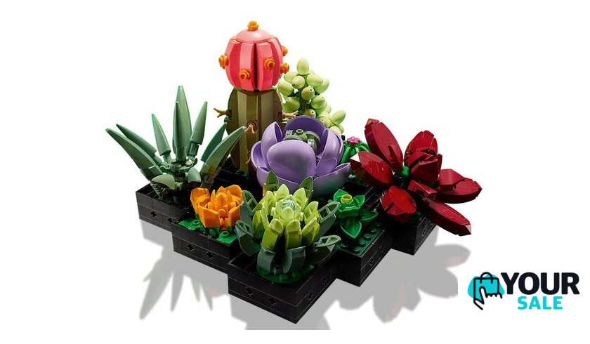 Конструктор LEGO Creator Expert 10309 Суккуленты - Изображение №4 — Интернет-магазин Your Sale