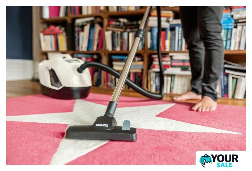 Пылесос Karcher DS 6 Plus 1.195-252.0 - Изображение №3 — Интернет-магазин Your Sale