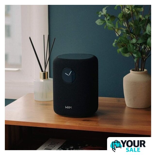 Беспроводная аудиосистема WiiM Sound (черный) - Изображение №6 — Интернет-магазин Your Sale