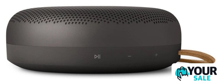 Беспроводная колонка Bang & Olufsen Beosound A1 3rd Gen (warm granite) - Изображение №3 — Интернет-магазин Your Sale