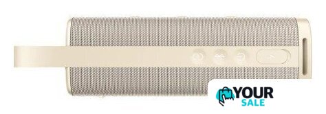 Беспроводная колонка Xiaomi Sound Outdoor (золотистый, международная версия) - Изображение №2 — Интернет-магазин Your Sale