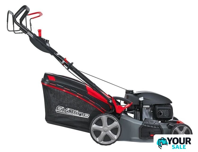 Газонокосилка Evoline LMG 53 CVH - Изображение №3 — Интернет-магазин Your Sale
