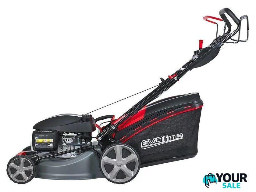 Газонокосилка Evoline LMG 53 CVH - Изображение №4 — Интернет-магазин Your Sale