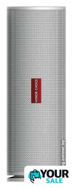 Беспроводная колонка HONOR Choice Portable Bluetooth Speaker Pro (белый) - Изображение №1 — Интернет-магазин Your Sale