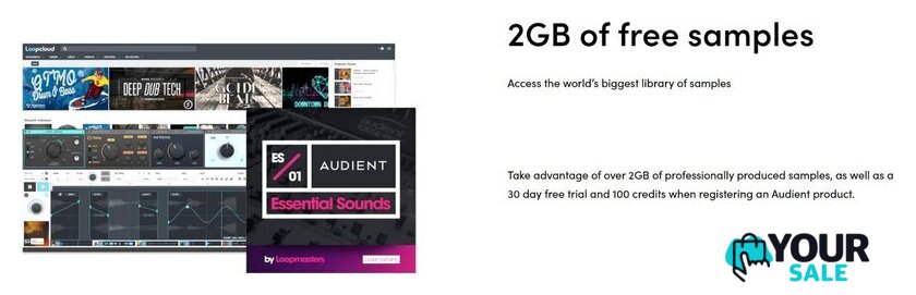 Аудиоинтерфейс Audient iD14 MKII - Изображение №15 — Интернет-магазин Your Sale