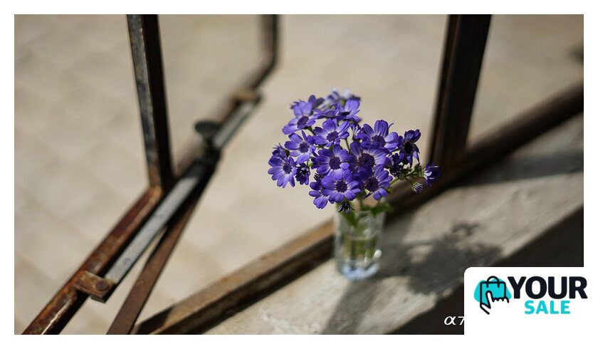 Объектив Sony FE 50mm F1.8 [SEL50F18F] - Изображение №4 — Интернет-магазин Your Sale