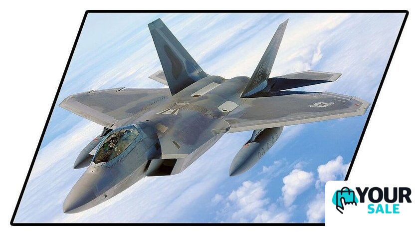 Конструктор Cobi Armed Forces Lockheed F-22 Raptor - Изображение №16 — Интернет-магазин Your Sale