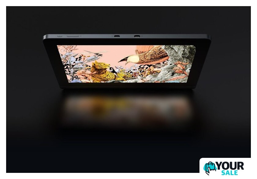 Графический монитор XP-Pen Artist Pro 16 MD160QH (2-ое поколение, с кабелем AD41) - Изображение №4 — Интернет-магазин Your Sale