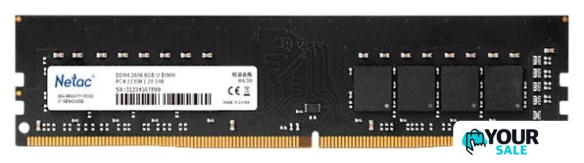 Оперативная память Netac Basic 8GB DDR4 PC4-25600 NTBSD4P32SP-08 - Изображение №1 — Интернет-магазин Your Sale
