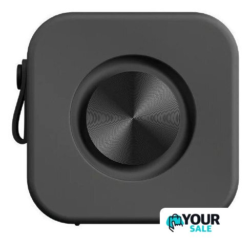 Беспроводная колонка Sudio F2 (черный) - Изображение №2 — Интернет-магазин Your Sale