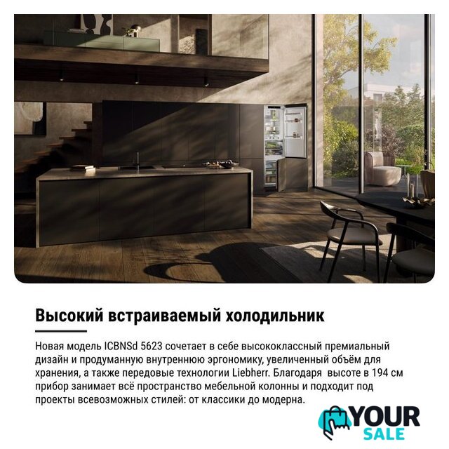 Холодильник Liebherr ICBNSd 5623 Plus BioFresh NoFrost - Изображение №22 — Интернет-магазин Your Sale