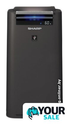 Климатический комплекс Sharp KC-G41RH - Изображение №1 — Интернет-магазин Your Sale