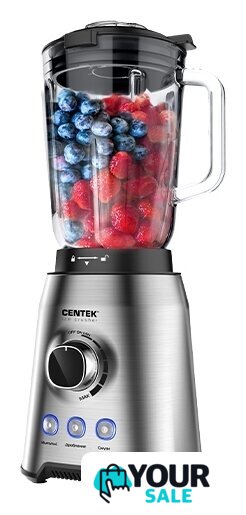 Стационарный блендер CENTEK CT-1329 - Изображение №1 — Интернет-магазин Your Sale