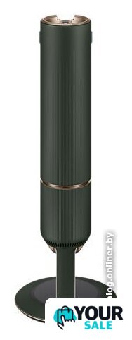 Пылесос Samsung Bespoke VS20B95943N/EV - Изображение №41 — Интернет-магазин Your Sale