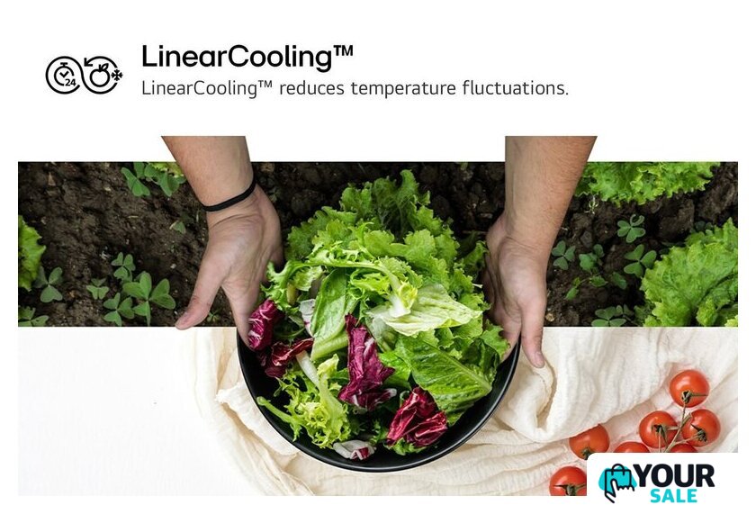 Холодильник LG DoorCooling+ GBV21L0ESW - Изображение №11 — Интернет-магазин Your Sale