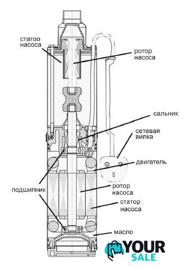 Скважинный насос Belamos 3SP 90/1.8 - Изображение №2 — Интернет-магазин Your Sale