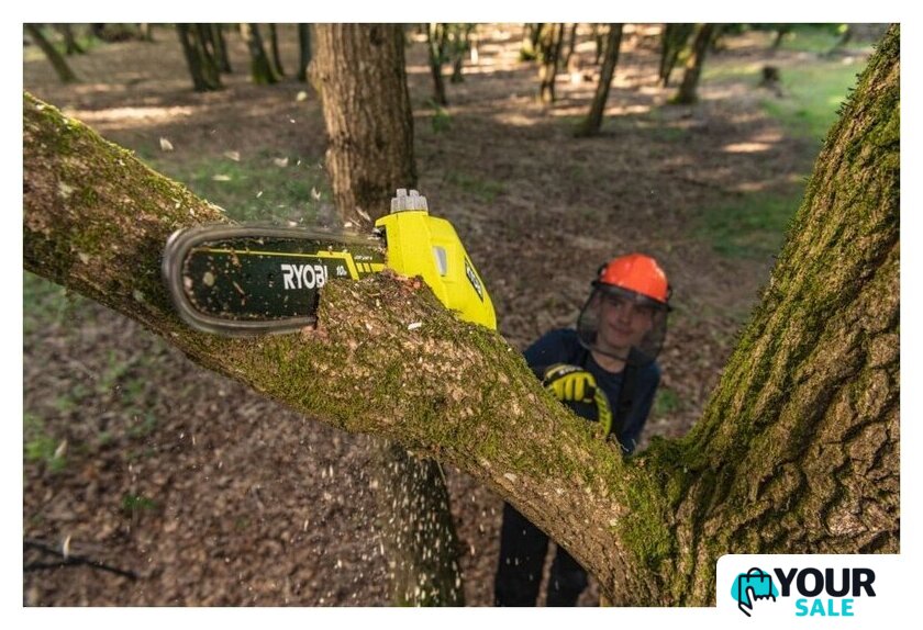 Высоторез Ryobi RY36PP25A-0 (без АКБ) - Изображение №12 — Интернет-магазин Your Sale