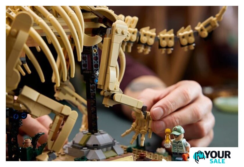 Конструктор LEGO Jurassic World 77985 Окаменелости динозавров: Трицератопс - Изображение №11 — Интернет-магазин Your Sale