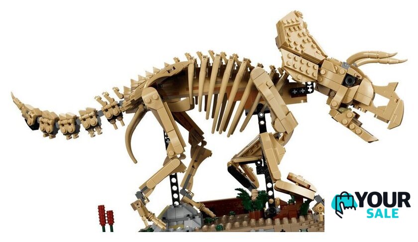 Конструктор LEGO Jurassic World 77985 Окаменелости динозавров: Трицератопс - Изображение №3 — Интернет-магазин Your Sale