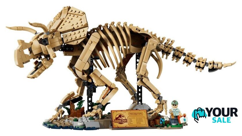 Конструктор LEGO Jurassic World 77985 Окаменелости динозавров: Трицератопс - Изображение №2 — Интернет-магазин Your Sale