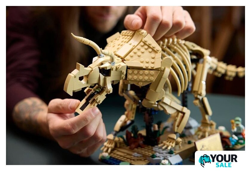 Конструктор LEGO Jurassic World 77985 Окаменелости динозавров: Трицератопс - Изображение №12 — Интернет-магазин Your Sale