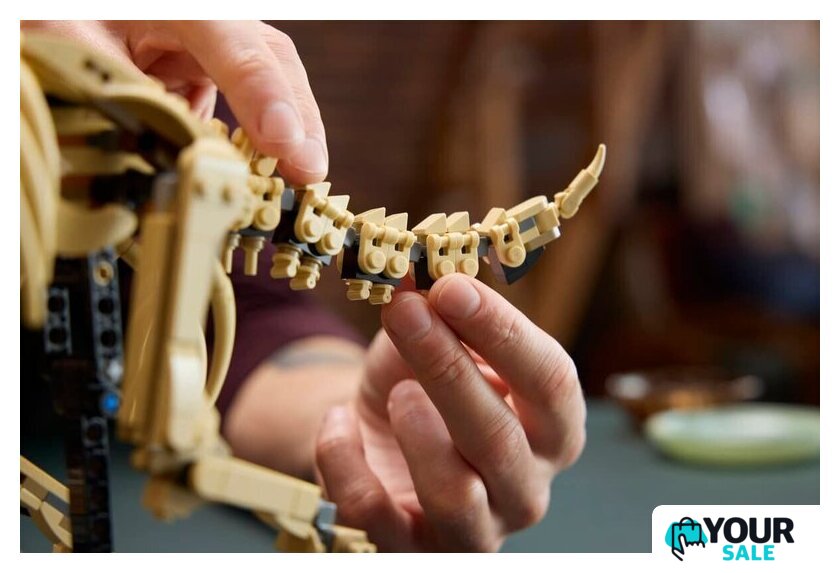 Конструктор LEGO Jurassic World 77985 Окаменелости динозавров: Трицератопс - Изображение №10 — Интернет-магазин Your Sale
