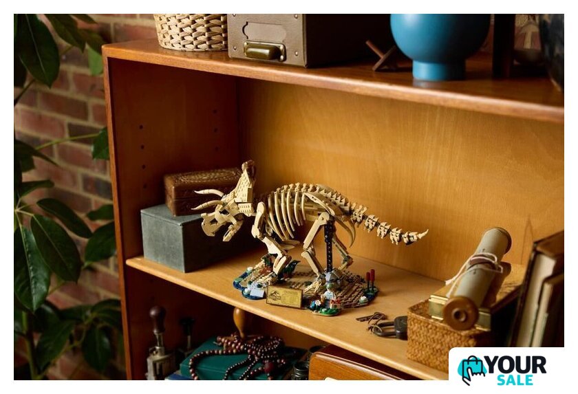 Конструктор LEGO Jurassic World 77985 Окаменелости динозавров: Трицератопс - Изображение №16 — Интернет-магазин Your Sale