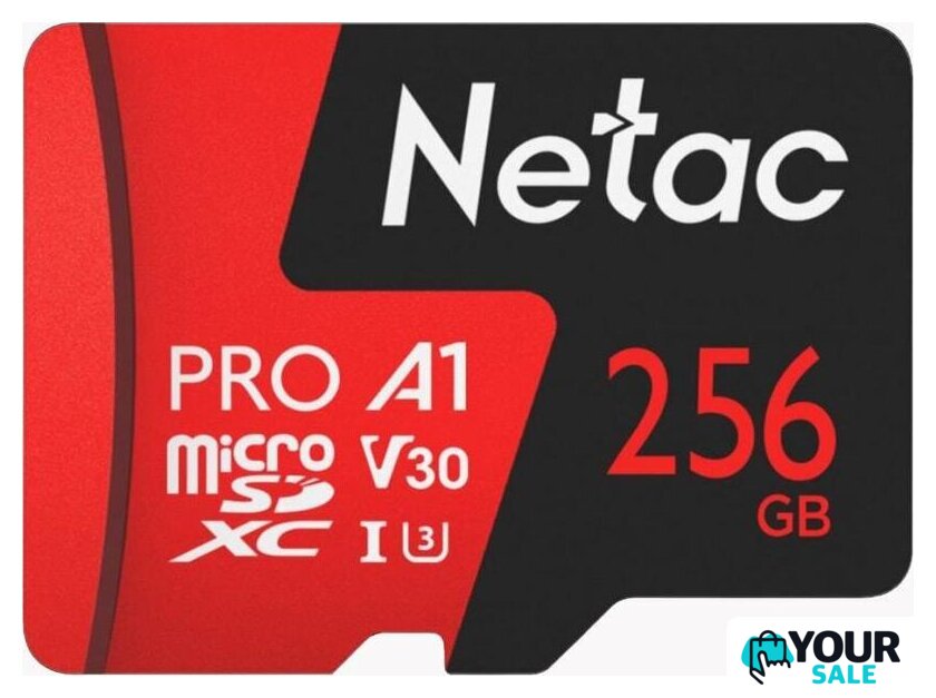 Карта памяти Netac P500 Extreme Pro 256GB NT02P500PRO-256G-S - Изображение №1 — Интернет-магазин Your Sale