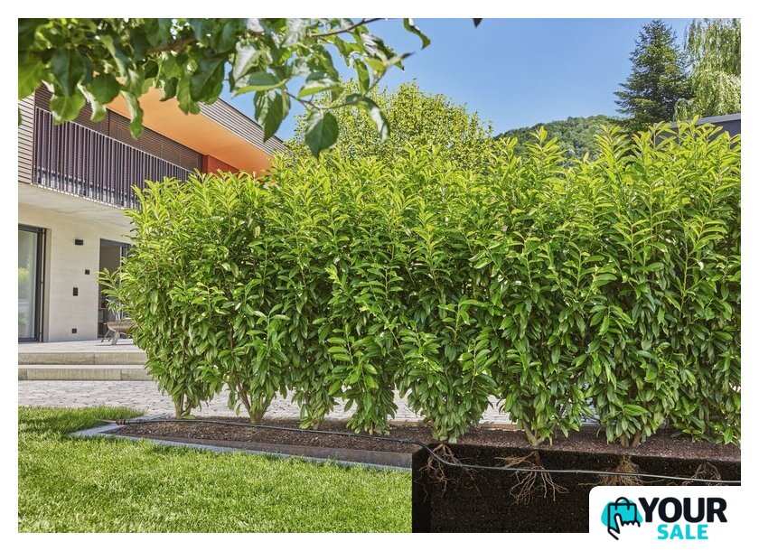 Шланг для капельного полива Gardena 13503-20 (1/2