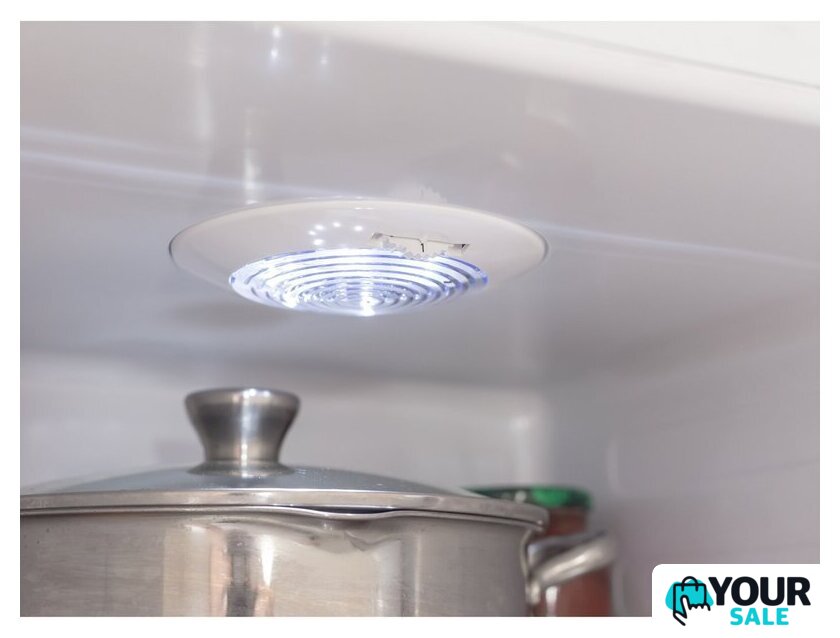 Холодильник Scandilux RBI255 - Изображение №8 — Интернет-магазин Your Sale