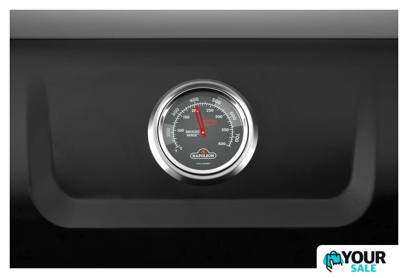 Газовый гриль для дачи Napoleon Freestyle 365 F365DPK-1-PL - Изображение №8 — Интернет-магазин Your Sale