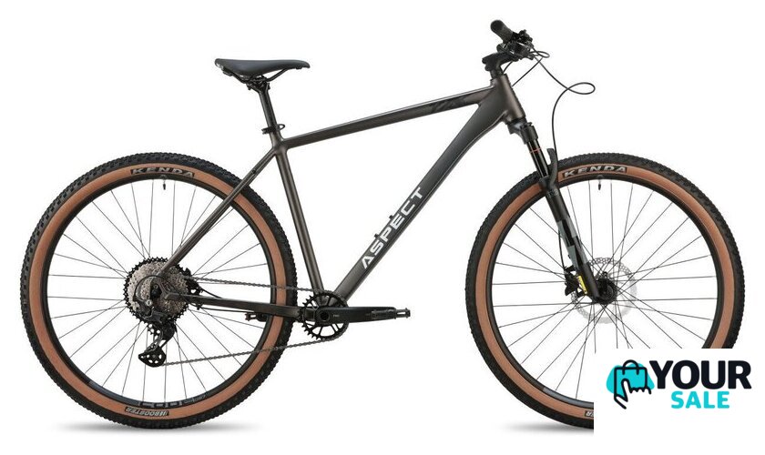 Велосипед Aspect Big Boy 29 XXL 2026 (серый) - Изображение №1 — Интернет-магазин Your Sale