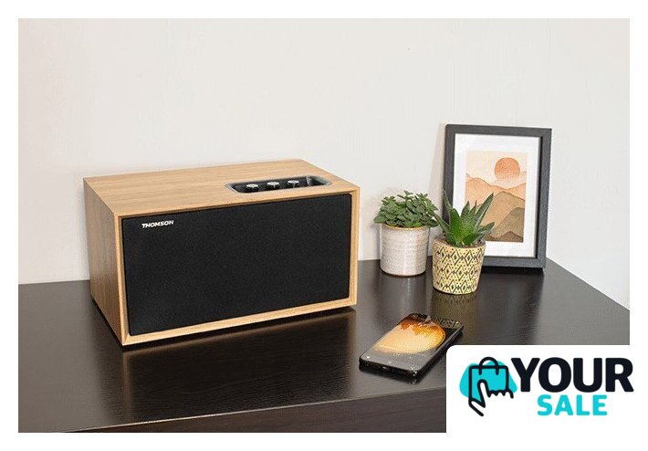 Беспроводная колонка Thomson WS502 - Изображение №5 — Интернет-магазин Your Sale