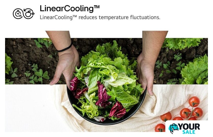 Холодильник side by side LG NatureFRESH GSJC40EPPE - Изображение №14 — Интернет-магазин Your Sale
