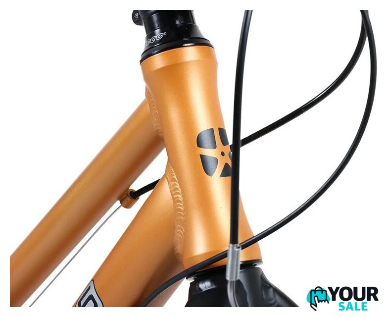 Велосипед Maxiscoo 5Bike 24 2026 MSC-M5-2423 (оранжевый матовый) - Изображение №5 — Интернет-магазин Your Sale