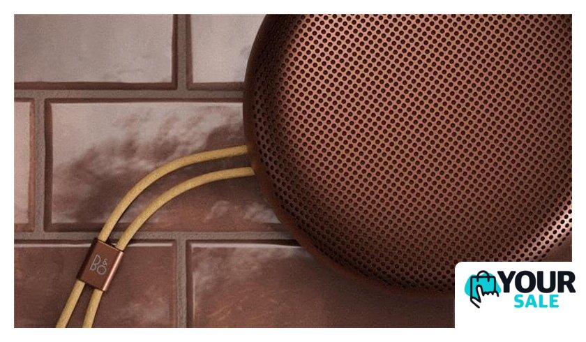 Беспроводная колонка Bang & Olufsen Beosound A1 3rd Gen (rustic red) - Изображение №5 — Интернет-магазин Your Sale