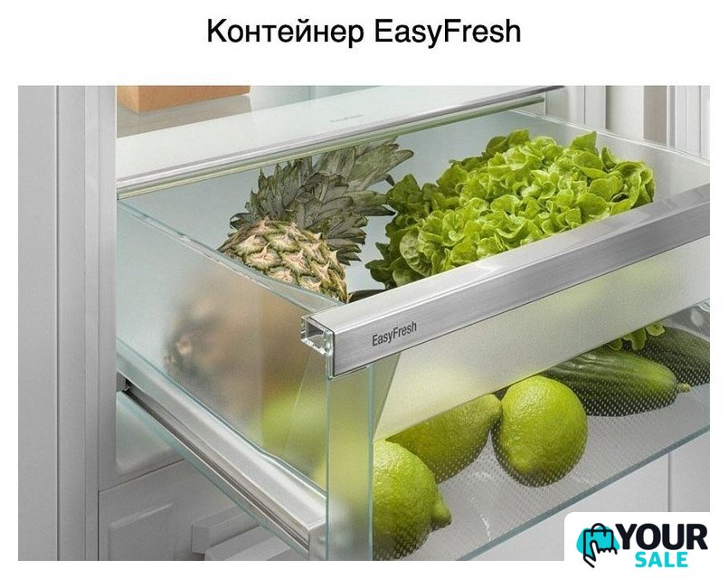 Холодильник Liebherr ICf 5103 Pure - Изображение №4 — Интернет-магазин Your Sale