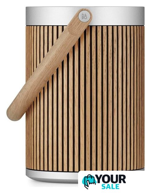 Беспроводная аудиосистема Bang & Olufsen BeoSound A5 (oak) - Изображение №2 — Интернет-магазин Your Sale
