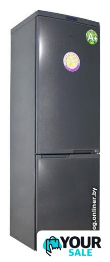 Холодильник Don R-290 G - Изображение №1 — Интернет-магазин Your Sale
