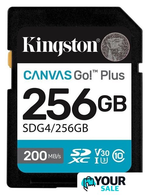 Карта памяти Kingston Canvas Go! Plus SDXC 256GB SDG4/256GB - Изображение №1 — Интернет-магазин Your Sale