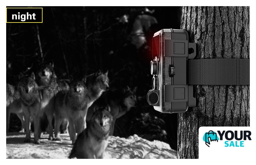Фотоловушка SJCAM M50 (зеленый) - Изображение №5 — Интернет-магазин Your Sale