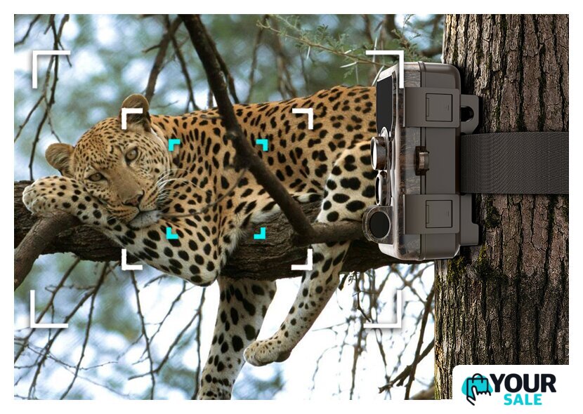 Фотоловушка SJCAM M50 (зеленый) - Изображение №11 — Интернет-магазин Your Sale