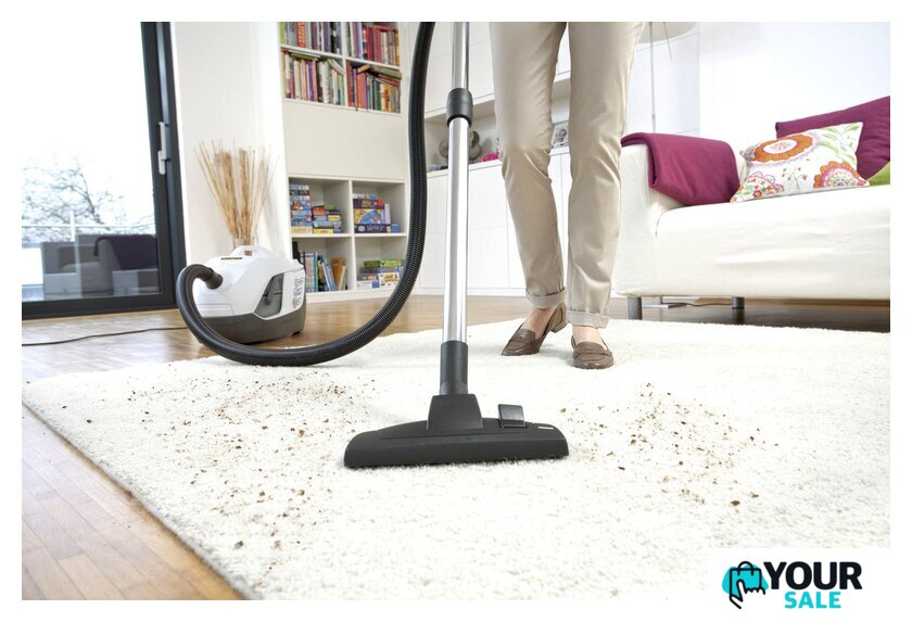 Пылесос Karcher DS 6 Premium Plus 1.195-242.0 - Изображение №7 — Интернет-магазин Your Sale