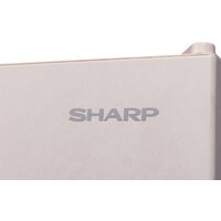 Холодильник Sharp SJ-653GHXJ52R - Превью изображения №5 — Интернет-магазин Your Sale