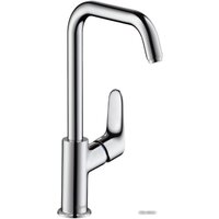 Hansgrohe Focus 31519000