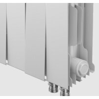 Royal Thermo PianoForte 300 Noir Sable (16 секций) Image #3