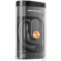 Jade Audio JW1 (черный) Image #4